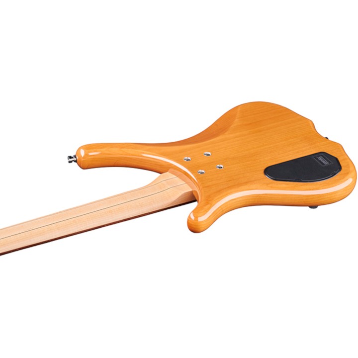 Acquista WARWICK INFINITY 5 NATURAL TRANS. HIGH POLISH online | Merula Strumenti Musicali