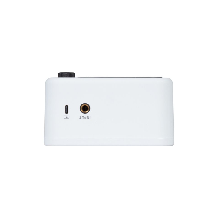 Acquista MOOER PTNR GCA5 - GTRS AMP - WHITE online | Merula Strumenti Musicali