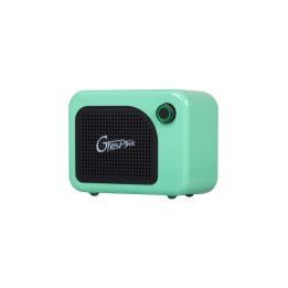 Acquista MOOER PTNR GCA5 - GTRS AMP - GREEN online | Merula Strumenti Musicali