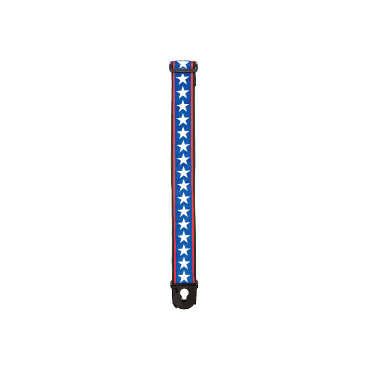Acquista D'ADDARIO 50pla10 online | Merula Strumenti Musicali