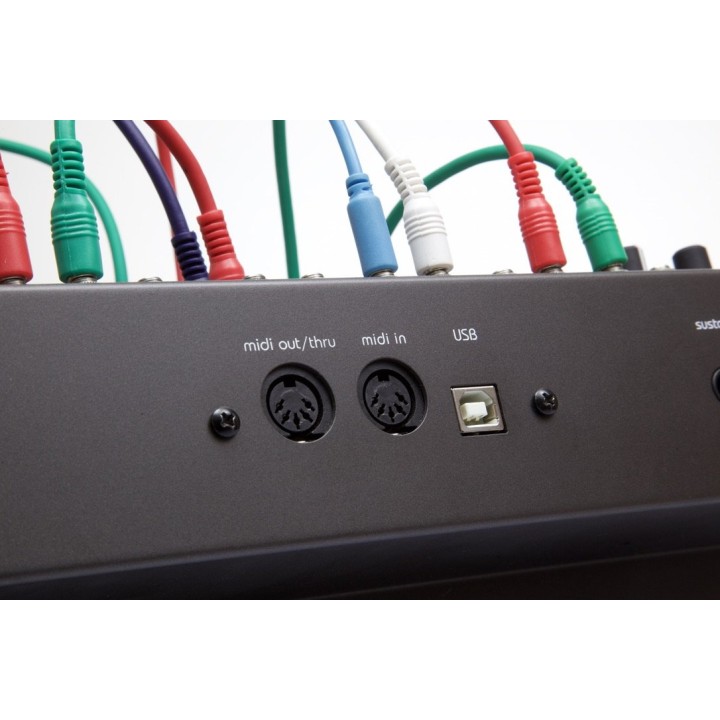 Acquista CRE8AUDIO NIFTYKEYZ online | Merula Strumenti Musicali