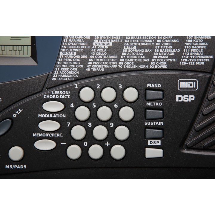 Kurzweil - KP30 Tastiera Arranger portatile
