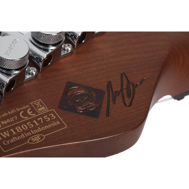 Acquista SCHECTER Nick Johnston Traditional - Atomic Green online | Merula Strumenti Musicali