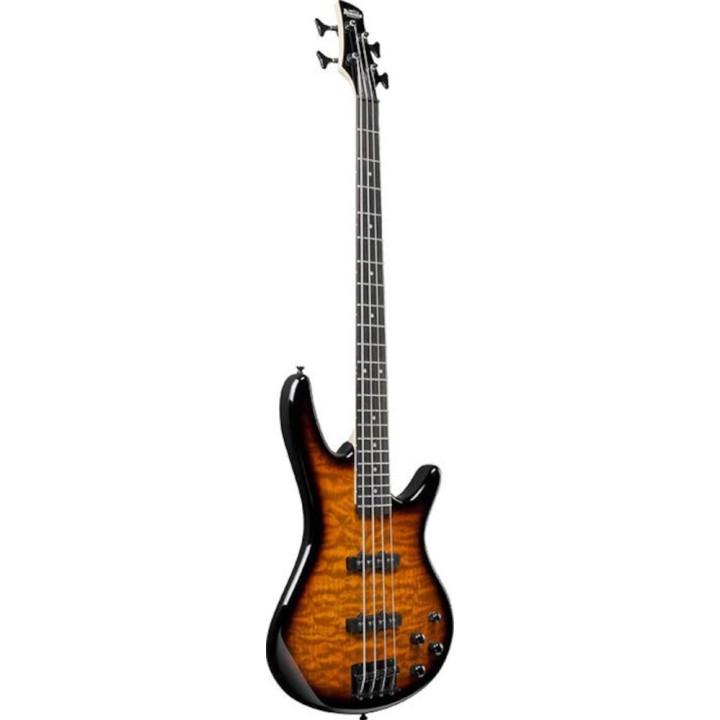 Acquista IBANEZ GSR280QA-TYS online | Merula Strumenti Musicali