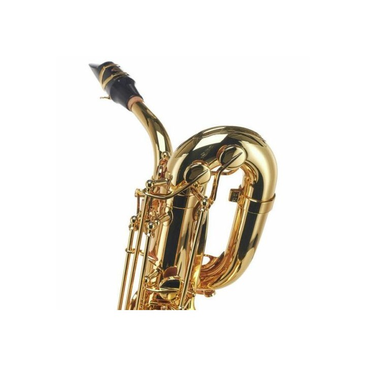Acquista SELMER SAX BARITONO SA80 II JUBILE GG online | Merula Strumenti Musicali