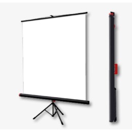 Acquista SCREENLINE ECOTRIPOD 240 200 online | Merula Strumenti Musicali
