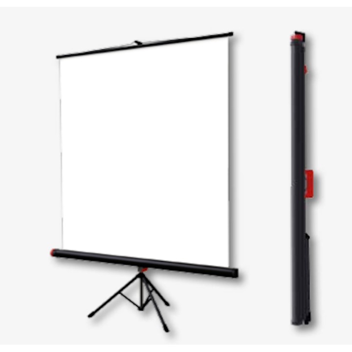 Acquista SCREENLINE ECOTRIPOD 240 200 online | Merula Strumenti Musicali