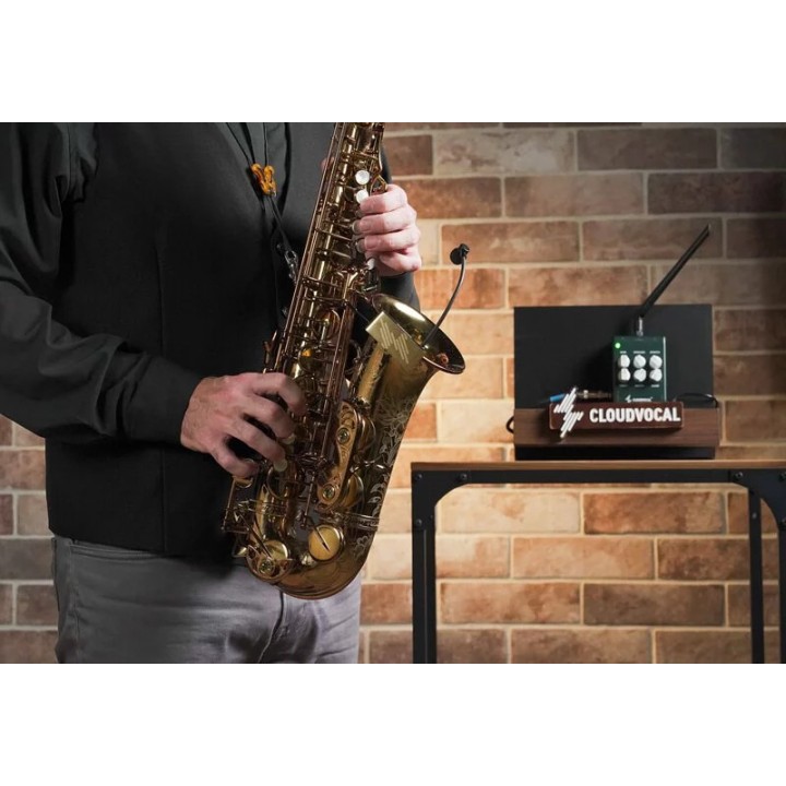 Acquista CLOUDVOCAL Isolo Lite online | Merula Strumenti Musicali