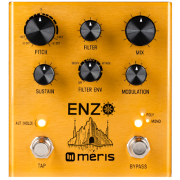 Acquista MERIS ENZO online | Merula Strumenti Musicali