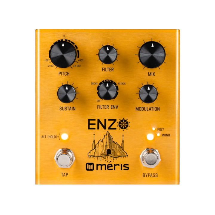 Acquista MERIS ENZO online | Merula Strumenti Musicali