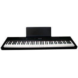 Acquista ECHORD SP-10/B online | Merula Strumenti Musicali