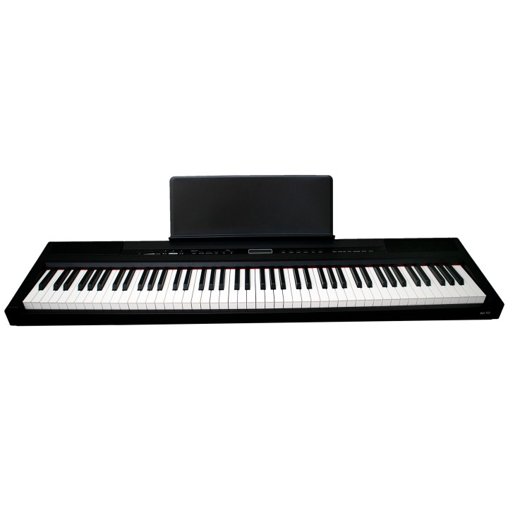 Acquista ECHORD SP-10/B online | Merula Strumenti Musicali