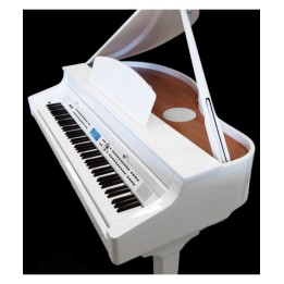 Acquista MEDELI Grand 510-Wh online | Merula Strumenti Musicali