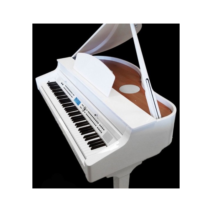 Acquista MEDELI Grand 510-Wh online | Merula Strumenti Musicali