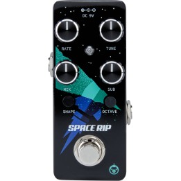 Acquista PIGTRONIX Space Rip online | Merula Strumenti Musicali