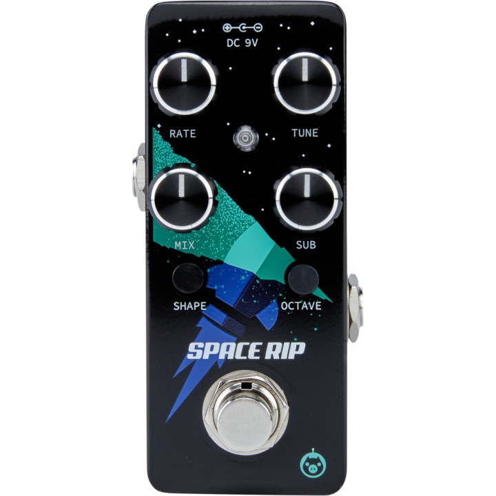 Acquista PIGTRONIX Space Rip online | Merula Strumenti Musicali