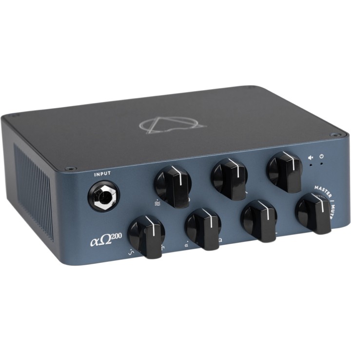 Acquista DARKGLASS DG-AO200 ALPHA OMEGA 200 online | Merula Strumenti Musicali