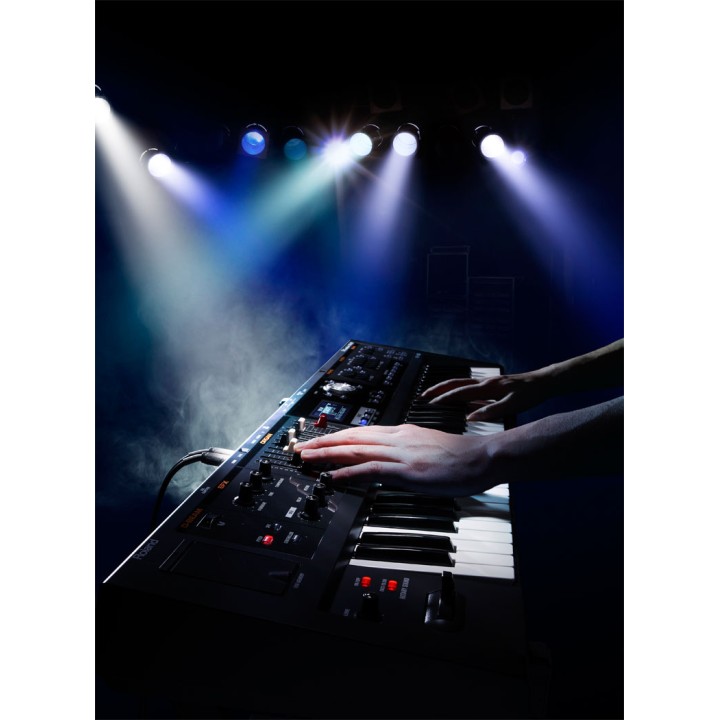 Acquista ROLAND VR-09-B online | Merula Strumenti Musicali