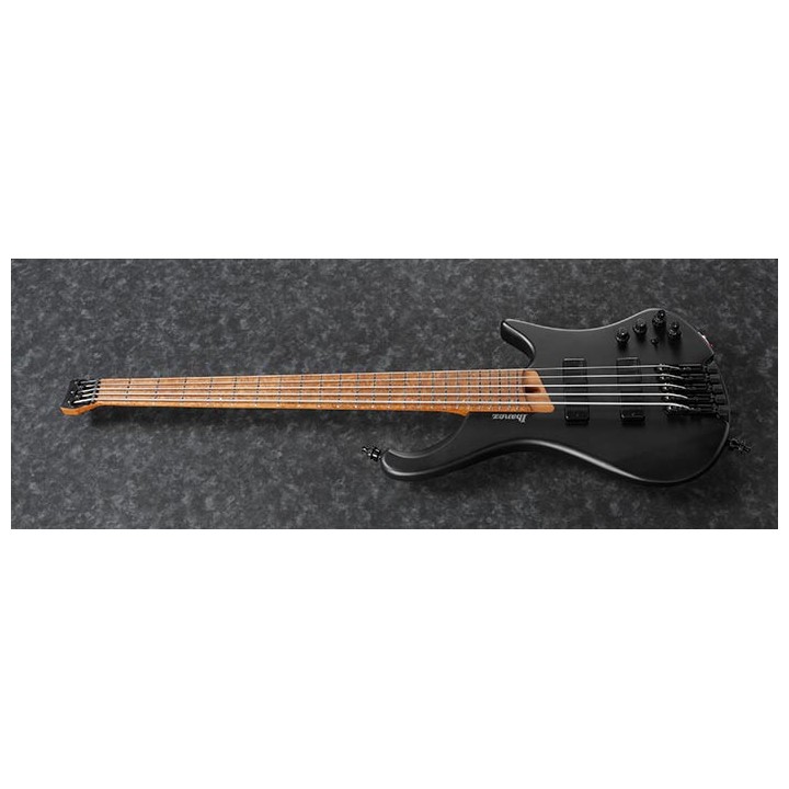 Acquista IBANEZ EHB1005BKF online | Merula Strumenti Musicali