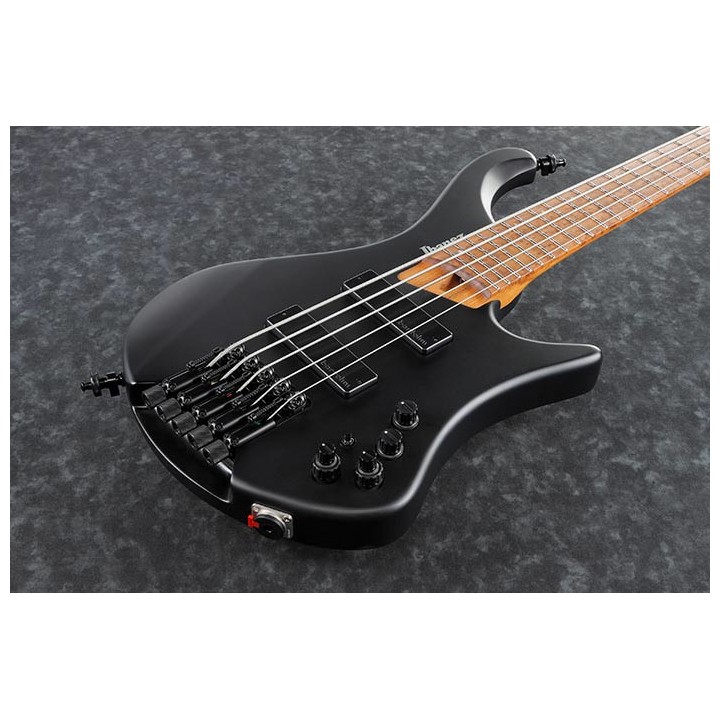 Acquista IBANEZ EHB1005BKF online | Merula Strumenti Musicali