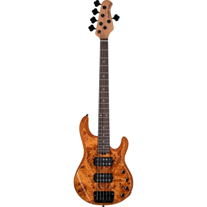 Acquista STERLING STINGRAY RAY35 POPLAR BURL AMBER online | Merula Strumenti Musicali