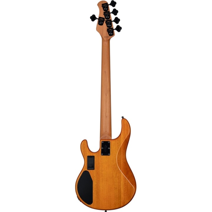 Acquista STERLING STINGRAY RAY35 POPLAR BURL AMBER online | Merula Strumenti Musicali