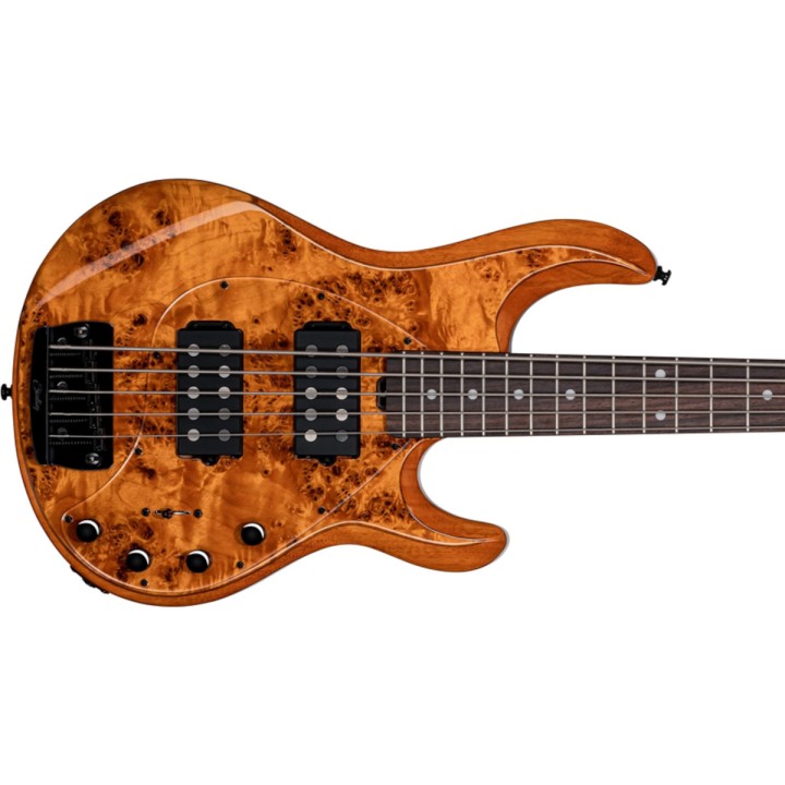 Acquista STERLING STINGRAY RAY35 POPLAR BURL AMBER online | Merula Strumenti Musicali