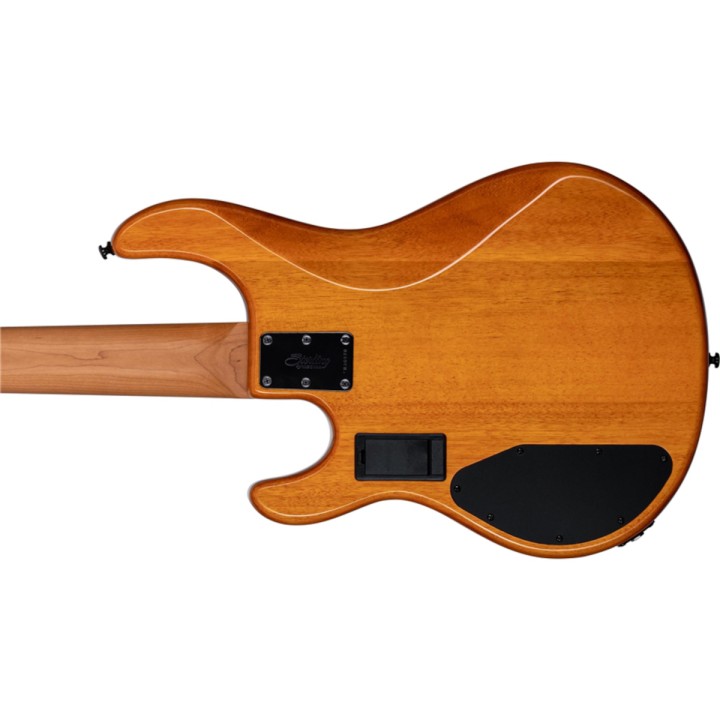 Acquista STERLING STINGRAY RAY35 POPLAR BURL AMBER online | Merula Strumenti Musicali