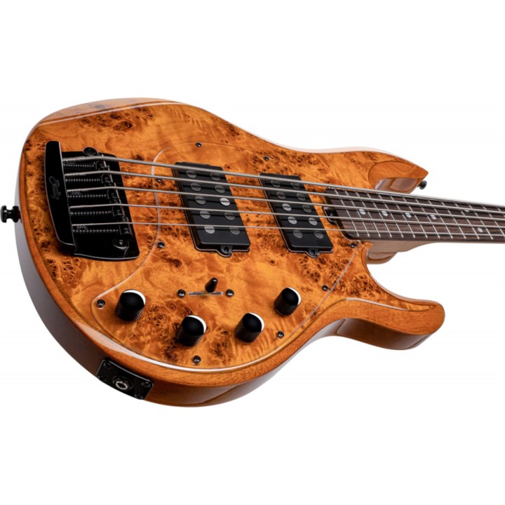 Acquista STERLING STINGRAY RAY35 POPLAR BURL AMBER online | Merula Strumenti Musicali