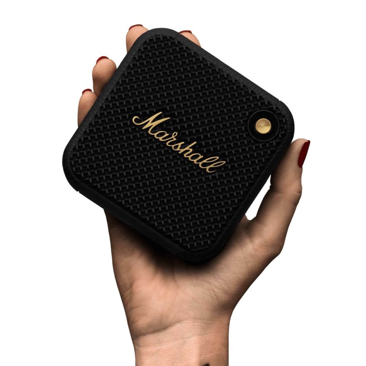 Acquista MARSHALL WILLEN BLACK & BRASS online | Merula Strumenti Musicali