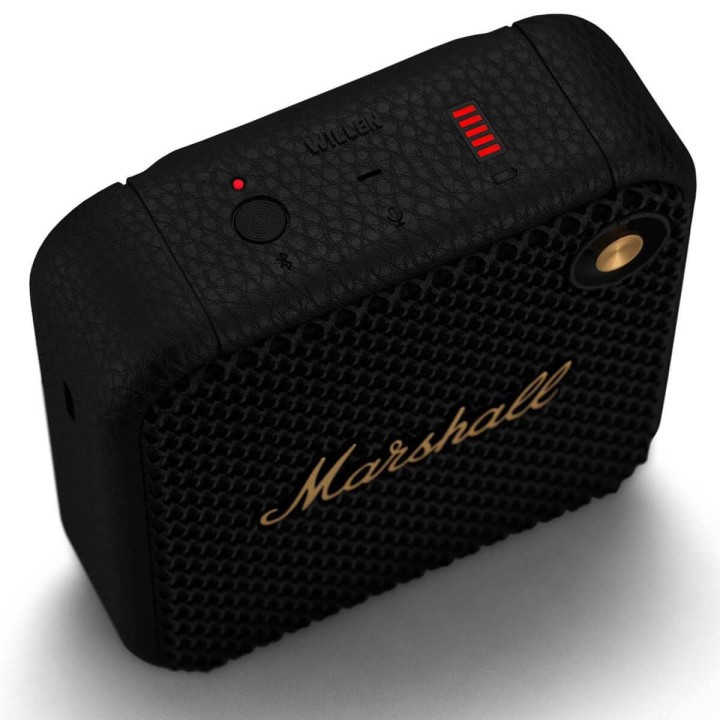 Acquista MARSHALL WILLEN BLACK & BRASS online | Merula Strumenti Musicali