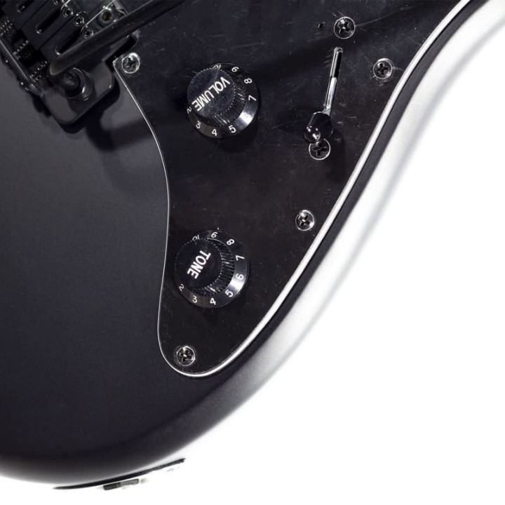 Acquista SCHECTER R66 BAD BOY TRADITIONAL online | Merula Strumenti Musicali