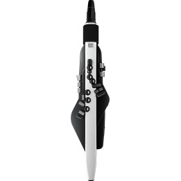 roland ae-20 aerofono fiato digitale