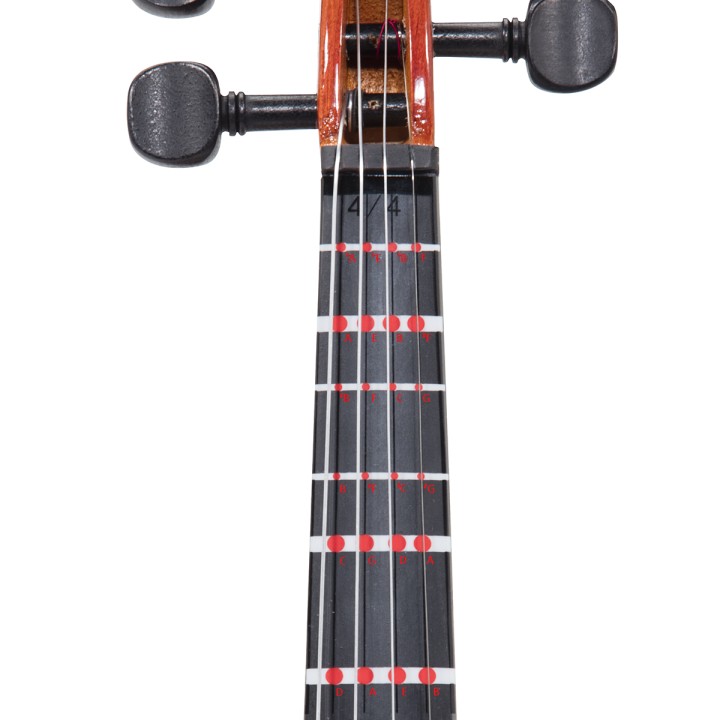 Acquista SOUNDSATION Fg501-44 online | Merula Strumenti Musicali