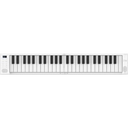 Acquista CARRY ON PIANO 49 online | Merula Strumenti Musicali