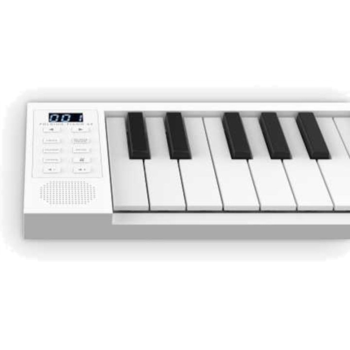 Acquista CARRY ON PIANO 49 online | Merula Strumenti Musicali