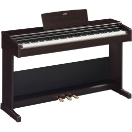 Acquista YAMAHA Ydp105r online | Merula Strumenti Musicali