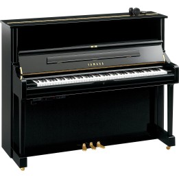 Acquista YAMAHA U1SH2PE online | Merula Strumenti Musicali