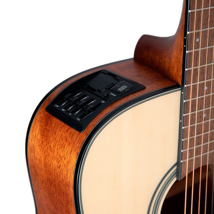 Takamine - GLD12E-NS