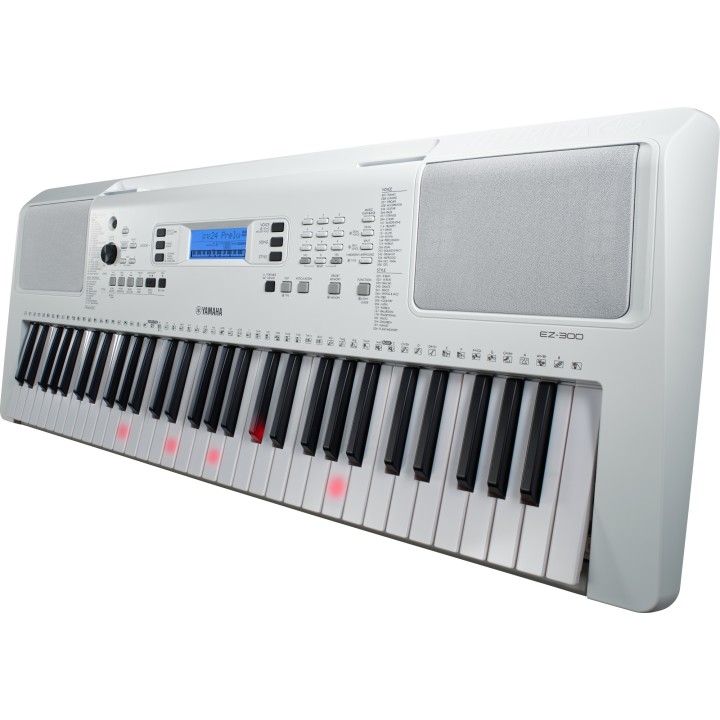 Acquista YAMAHA Ez300 online | Merula Strumenti Musicali
