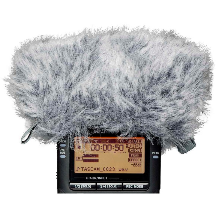 Acquista TASCAM WS-11 online | Merula Strumenti Musicali