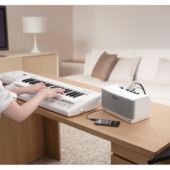 roland  cube lite monitor white