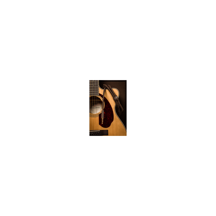 Acquista FENDER 0990910007 PARAMOUNT 10' ACOUSTIC INST CABLE BRN online | Merula Strumenti Musicali
