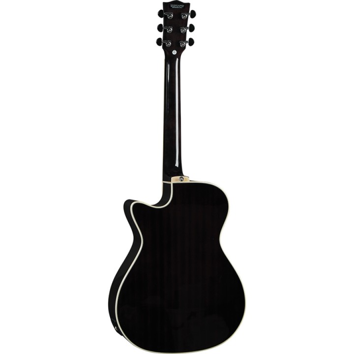 Eko NTX A100CE See Trough Black