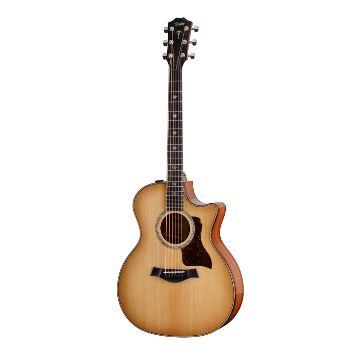 Taylor - 514CE + CUSTODIA
