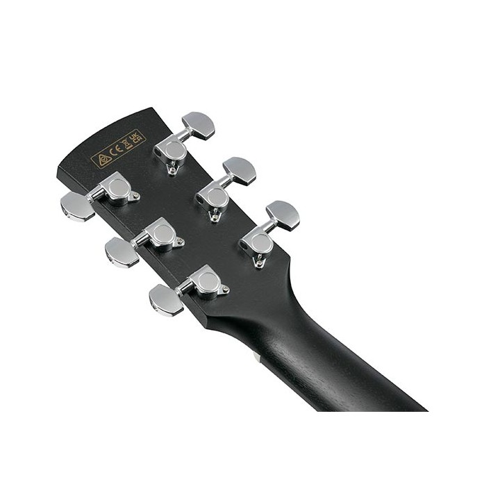 Acquista IBANEZ AW1040CE Weathered Black Open Pore online | Merula Strumenti Musicali