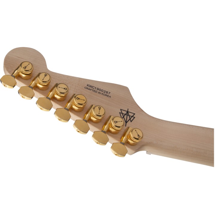 Acquista CHARVEL Angel Vivaldi Signature Pro-Mod Dk24-7 Nova, Maple Fingerboard, Satin Black online | Merula Strumenti Musicali
