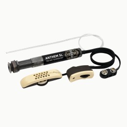 Acquista L. R. BAGGS ANTHEM SL - ELEMENT+MIC+MIXER online | Merula Strumenti Musicali