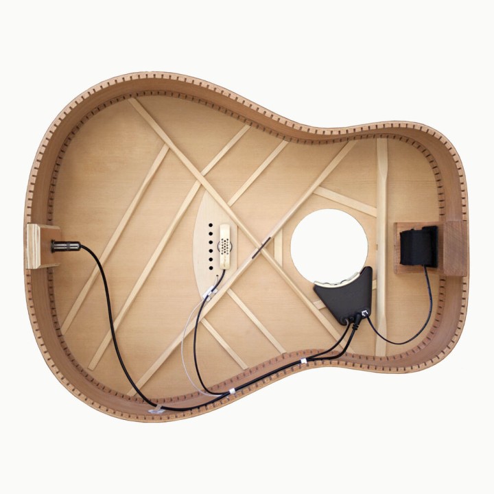 Acquista L. R. BAGGS ANTHEM SL - ELEMENT+MIC+MIXER online | Merula Strumenti Musicali