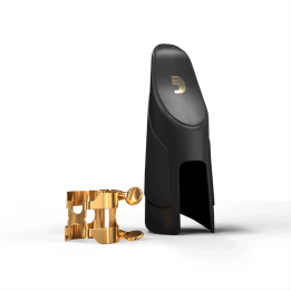 Acquista D'ADDARIO LEGATURA HTS2G H- E CAP SAX TENORE (BOCCHINO METALLO ) GOLD online | Merula Strumenti Musicali
